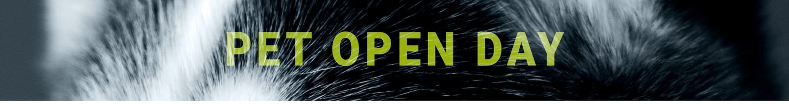 Registro fotográfico do 1º Pet Open Day do Brasil, realizado em 20 de março de 2021